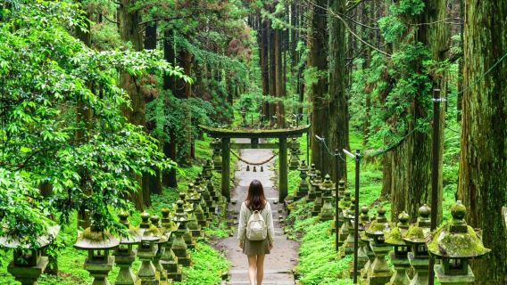 Fukuoka departure: Scenic Takachiho gorge + Amanoiwato shrine Nishi Hongu + Healing journey at Toiwa energy field