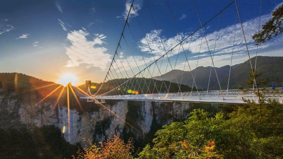 Zhangjiajie Grand Canyon Laluan B (Pilih 5 daripada 7) + Tarikan Pelancongan Gua Naga + Zoo Kem Luar Bandar Muye + Penerangan Berpandu