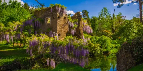 羅馬來回:寧芙花園+阿爾巴諾湖包車一日遊【不含門票】