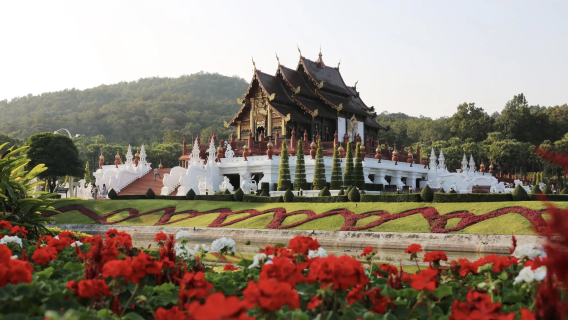 Chiang Mai Pass | Redeem up to 8 out of 40+ benefits