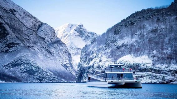 Bergen Bus Winter Tour: Nærøyfjord Cruise, Flåm & Stegastein
