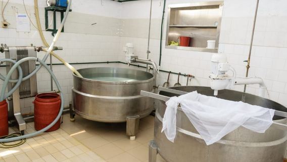 干尼亞出發：干尼亞村莊終極美食之旅