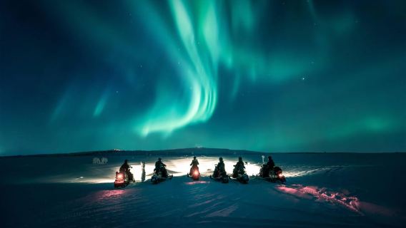 Levi: Northern Lights Snowmobile Safari and Campfire Picnic