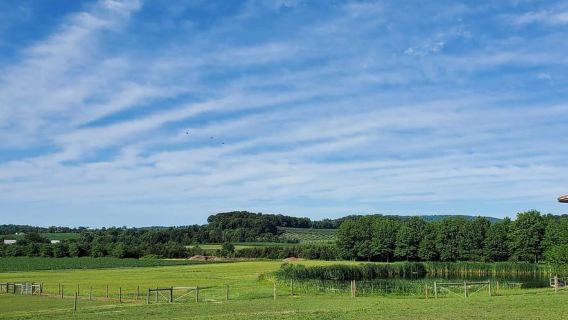 Gettysburg: Horse-Drawn Carriage Tour Countryside & Orchards