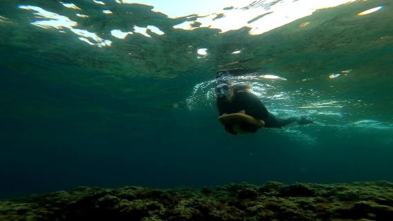 Nice, Beaulieu Sur Mer: Sea Scooter Snorkeling Tour