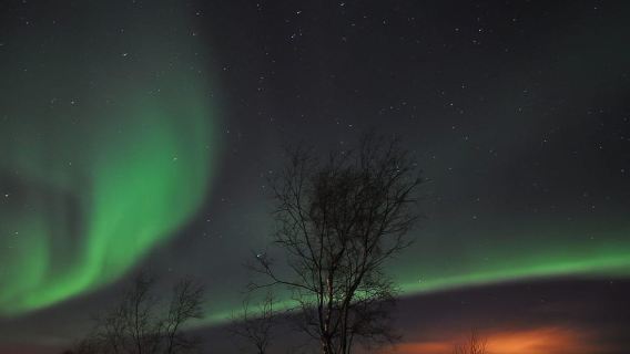 Tromsø: Northern Lights Husky Visit with Traditional Dinner