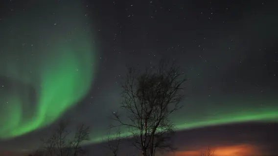 Tromsø: Northern Lights Husky Visit with Traditional Dinner
