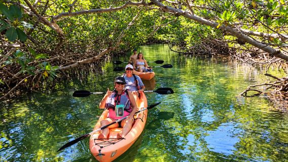 Zanzibar: 3-hour Kayak Tour through the Mangrove Forest
