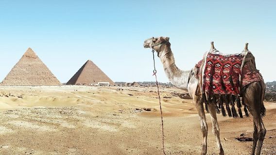 CairoTours