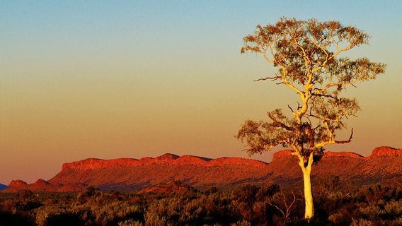 Alice Springs