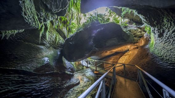 Escursione alle grotte di Glowworm di Te Anau, Isola del Sud, Nuova Zelanda: yacht + escursione + grotte di Glowworm
