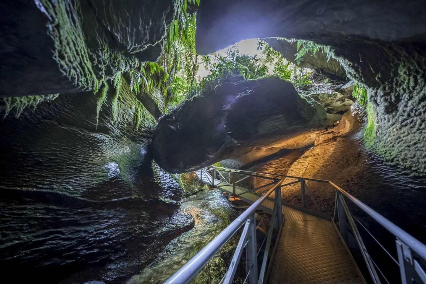 Te Anau Glowworm Caves Walking Tour in South Island, New Zealand: Yacht + Light Hiking + Glowworm Caves