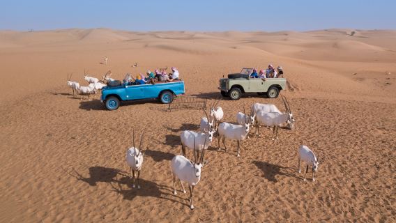 Tour in mongolfiera a Dubai Hero con vista sull'alba nel Royal Desert|Trasferimento con Land Rover + Colazione Michelin