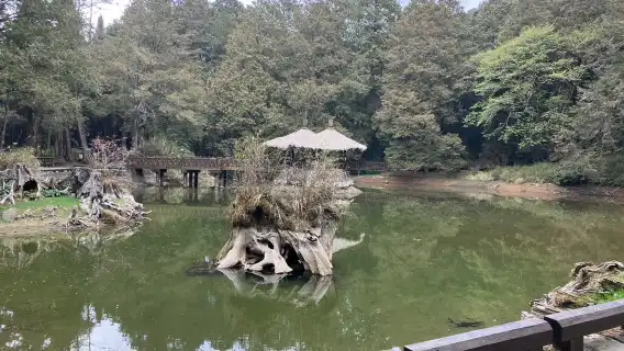 阿里山国家森林遊楽区+奮起湖 日帰りツアー【台中市内ホテル発】