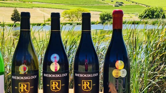 Paarl, Franschhoek, Stellenbosch Regio Ontdekkingswijntour