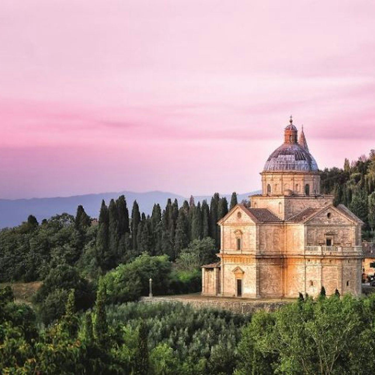 Val D'Orcia: Tour di degustazione vini + andata e ritorno da Siena