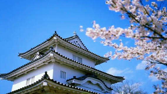 安藝市日遊