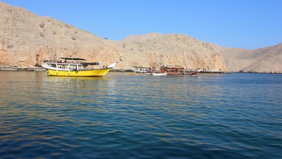 Ras Al Khaimah Attraction Tours: Musandam Sea Safari with Lunch