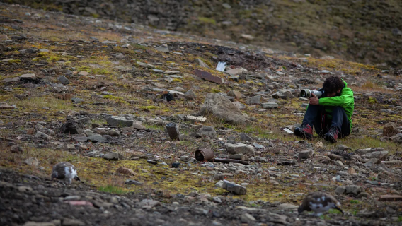 Longyearbyen glacier + wildlife fjord catamaran day tour (6.5H)