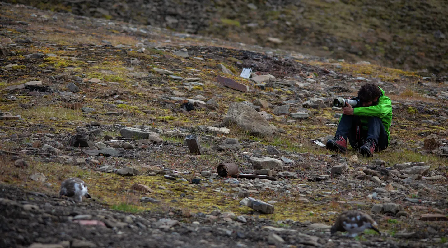 Longyearbyen glacier + wildlife fjord catamaran day tour (6.5H)