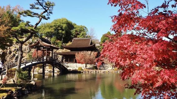 豐田市日遊