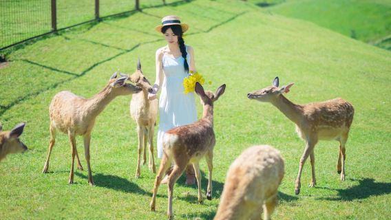 郴州仰天湖大草原一日遊【含門票丨來回車丨純玩自由行】
