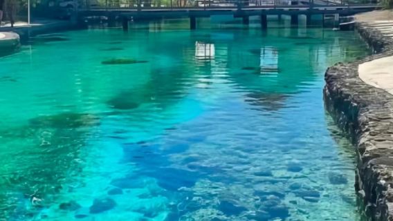 Fiji Museum + Thurston Gardens + Government Buildings + Suva Market - Historical and Cultural Tour