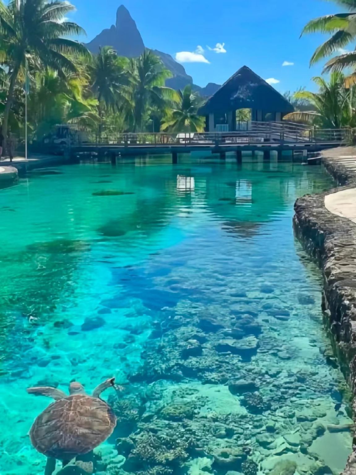 Fiji Museum + Thurston Gardens + Government Buildings + Suva Market - Historical and Cultural Tour