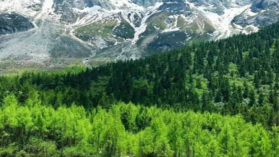 ○ Excursión de un día a Bipenggou + tour privado con vistas nocturnas del Puente Nan - Servicio de alquiler de coches - Descubre la naturaleza del oeste de Sichuan