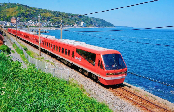 Izu 1-day tour: Free ocean-view train + Jogasaki Coast + Mt. Omuro
