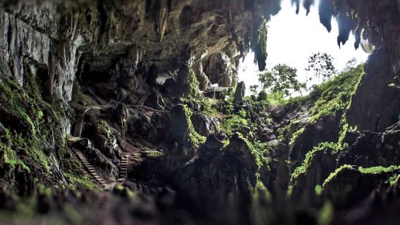 Höhlenabenteuer in Sarawak Halbtagesausflug mit Mittagessen