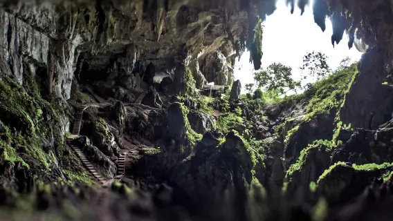 Caving Adventure in Sarawak Half Day Tour with Lunch