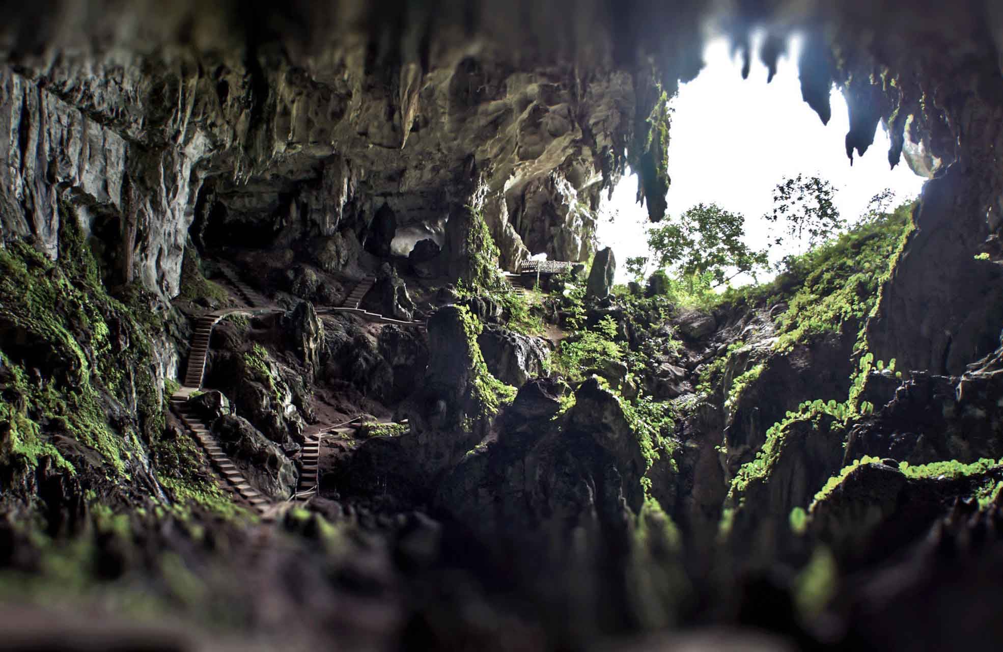 Avventura speleologica a Sarawak con tour giornaliero e pranzo incluso