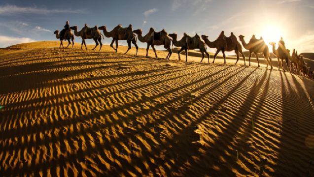 [Departing from Hohhot] Whistling Dune Bay Day Trip (Golden Sea of Sand, Listen to the Voice of the Earth)