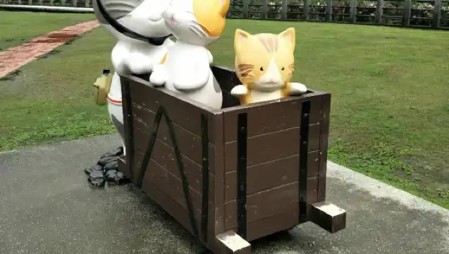 Yehliu & Yin Yang Sea & Jiufen & Cat Village & Shifen Waterfall Sky Lantern Release (Hotel Pickup)