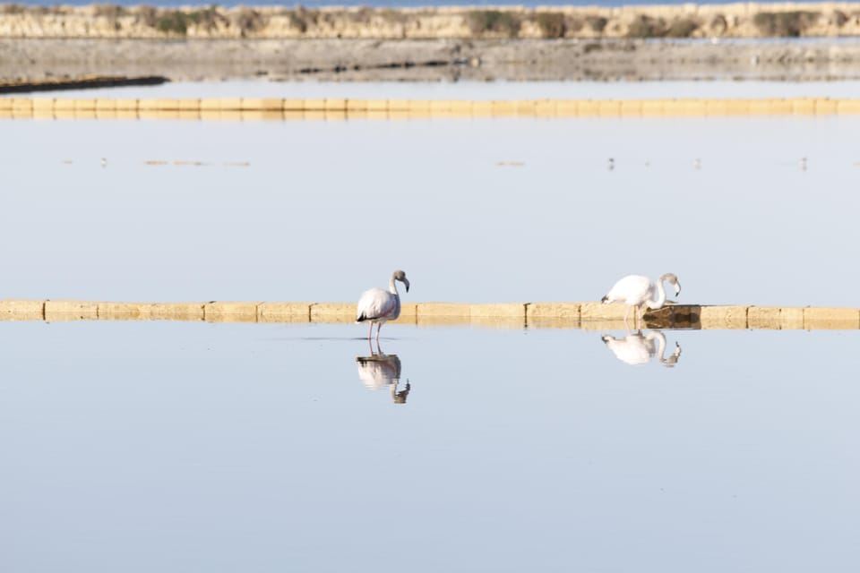 Saline di Trapani: 2h 30min Salt Tour