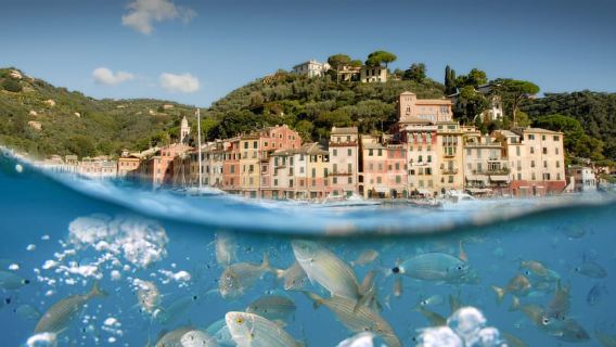 熱那亞：波托菲諾半日遊