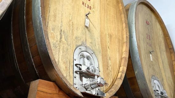 San Gimignano: Weinberg- und Kellertour mit Weinprobe