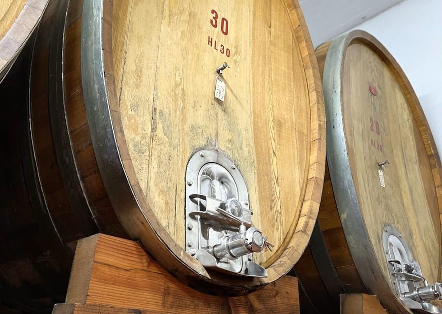 San Gimignano: Vineyard and Cellar Tour with Wine Tasting