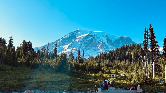 美國西雅圖市區來回-雷尼爾山國家公園-包車-精選
