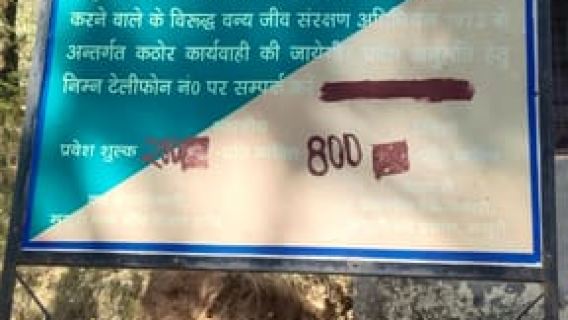 Hidden Gem of Mussoorie: Benog Hill Serenity Trek