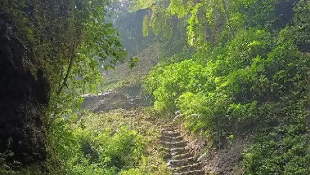 從雅加達出發：茂物植物園、稻田和瀑布