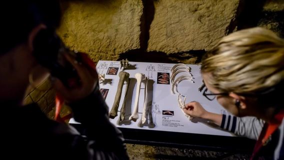 ปารีส: ตั๋วเข้าชมสุสานใต้ดินและออดิโอไกด์