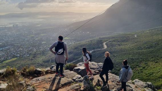 Le Cap : randonnée à la montagne de la Table avec un guide expert