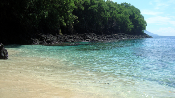 스노클링 체험 + 우붓 ATV 쿼드 바이크