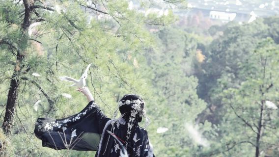 博羅の旅フォト【人気スポットでのフォト撮影|多言語対応カメラマン同行・ドローン撮影 + 観光ガイド付き】