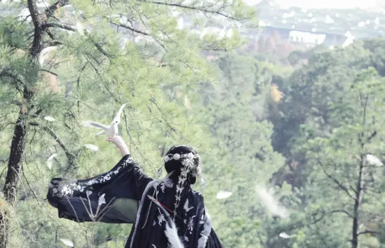 博羅旅拍【攝影師跟拍航拍約拍抓拍街拍寫真婚紗微電影/多語言翻譯】