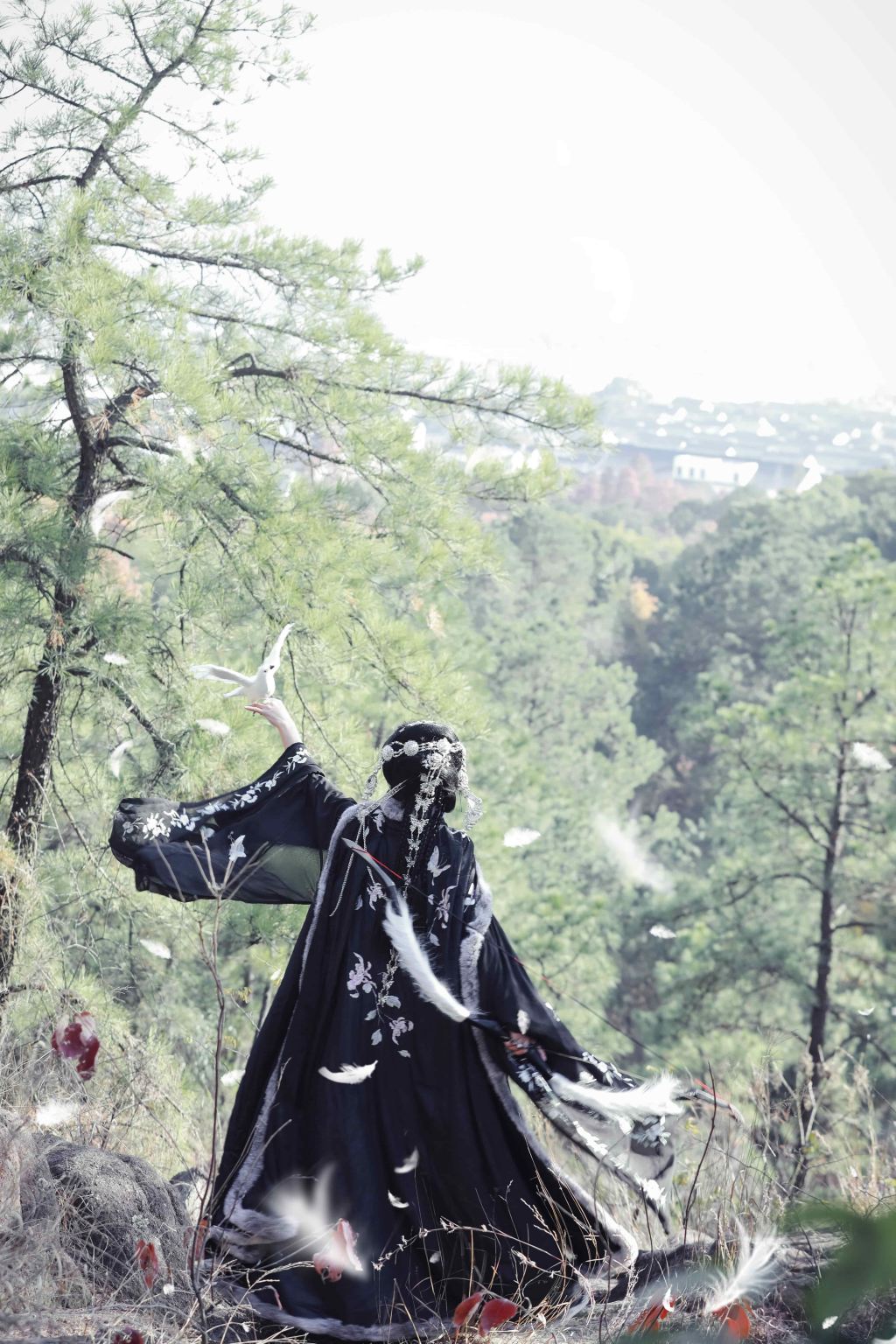 Boluo Trip Moments[Viral spot photography | Multilingual photographer services with aerial shots + guided tour]