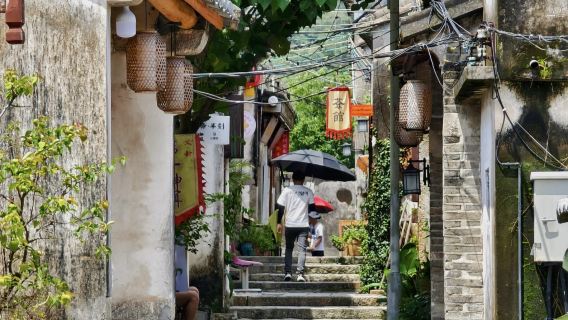 深圳較場尾+大鵬所城+楊梅坑+鹿嘴山莊一日遊|私家團上門接駁