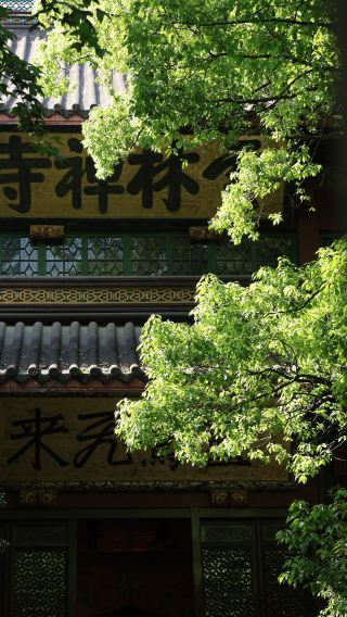 Hangzhou Lingyin Temple Feilai Peak entry with reservation half-day tour | optional door-to-door pickup without transfer